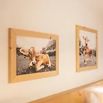 Appartement Tauerncamping Radstadt