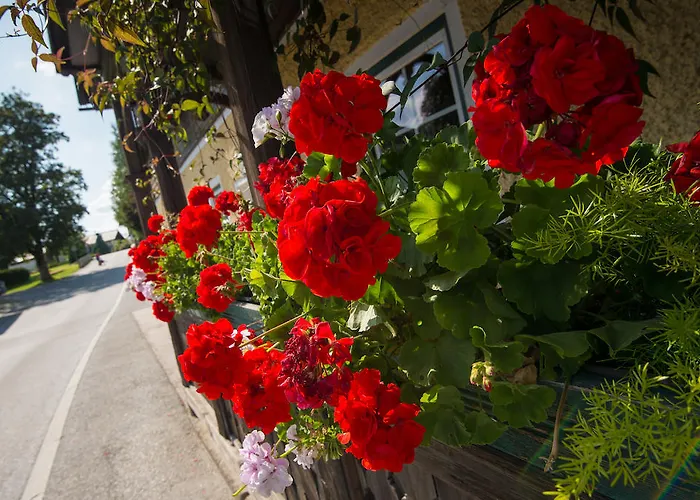 Апартаменты Tauerncamping